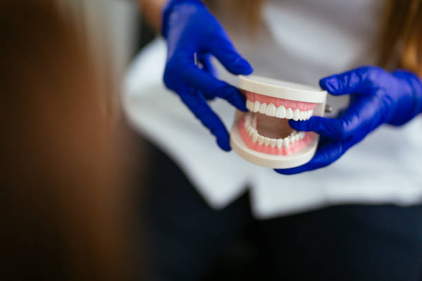 Emergency Dental Services in Punta Rassa, FL